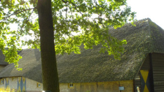 WikiMedia