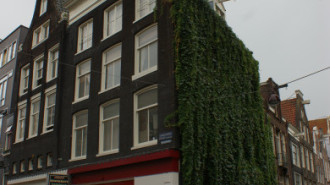 WikiMedia