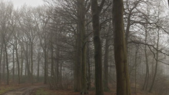 Rijksdienst voor het Cultureel Erfgoed: Wal, Henry van der
