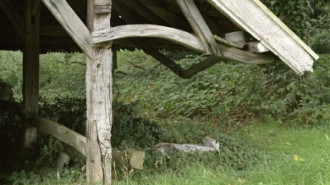 Rijksdienst voor het Cultureel Erfgoed: Galen, Jan van