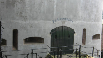 WikiMedia