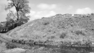 Rijksdienst voor het Cultureel Erfgoed