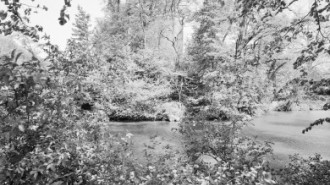 Rijksdienst voor het Cultureel Erfgoed: Galen, P. (Paul) van