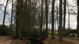 Rijksdienst voor het Cultureel Erfgoed: Wal, Henry van der