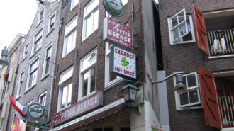 WikiMedia