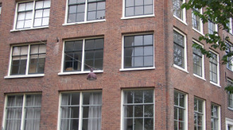 WikiMedia