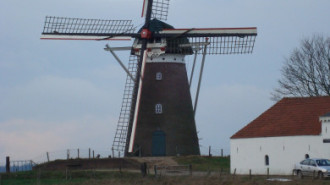 WikiMedia