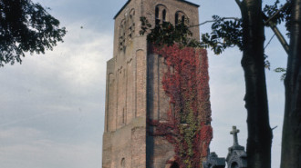 WikiMedia
