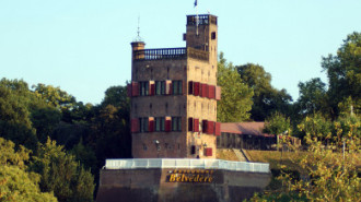 WikiMedia