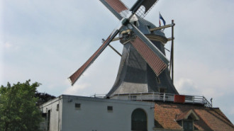 WikiMedia