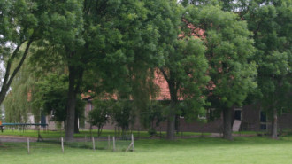 WikiMedia