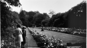 Rijksdienst voor het Cultureel Erfgoed: Wal, A.J. van der