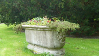 WikiMedia