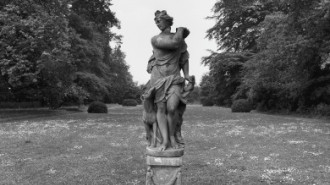 WikiMedia