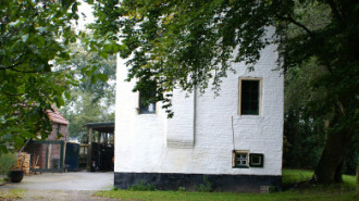 WikiMedia