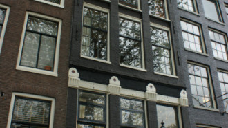 WikiMedia