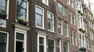 WikiMedia