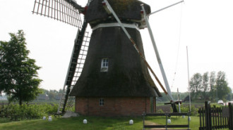 WikiMedia