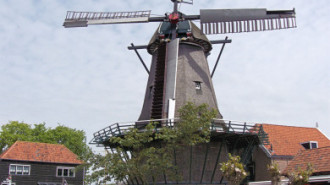 WikiMedia