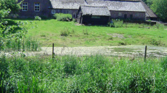 WikiMedia