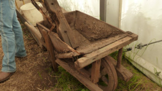 Rijksdienst voor het Cultureel Erfgoed: Bogers, Guido