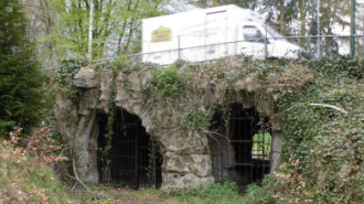 WikiMedia
