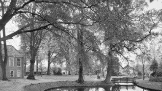 Rijksdienst voor het Cultureel Erfgoed: Scanlan, G.