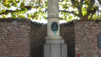 WikiMedia