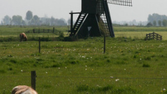 WikiMedia