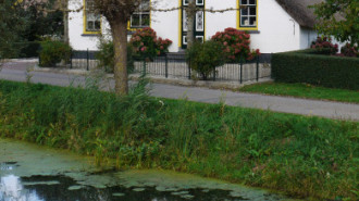 WikiMedia