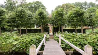 Rijksdienst voor het Cultureel Erfgoed: Sekuur, Mark