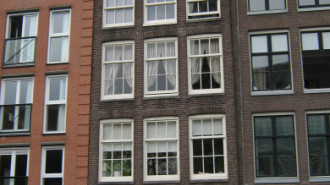WikiMedia