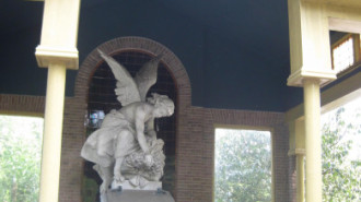 WikiMedia