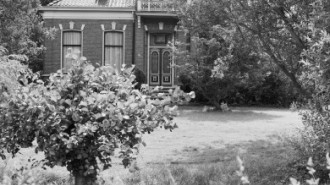 Rijksdienst voor het Cultureel Erfgoed: Heins, IJ.Th.