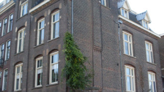 WikiMedia