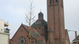 WikiMedia