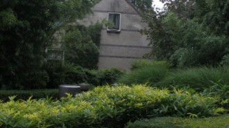 WikiMedia