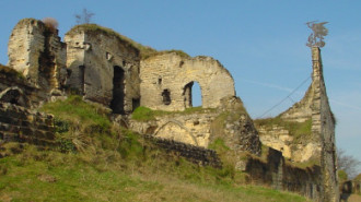 WikiMedia