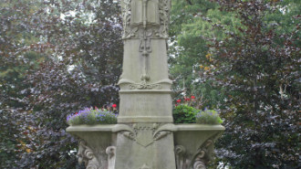 WikiMedia