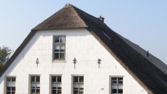 WikiMedia