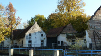 WikiMedia