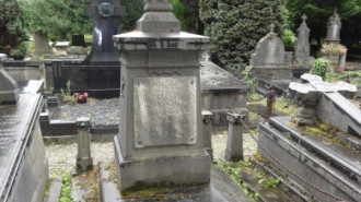 WikiMedia