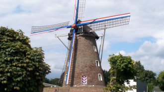 WikiMedia
