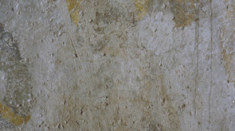 Rijksdienst voor het Cultureel Erfgoed: Galen, P. (Paul) van