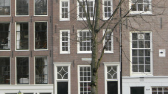 WikiMedia