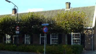 WikiMedia