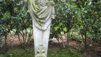WikiMedia