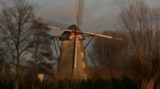WikiMedia
