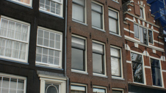 WikiMedia