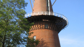 WikiMedia